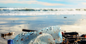 Pollution plastique des plages et océans